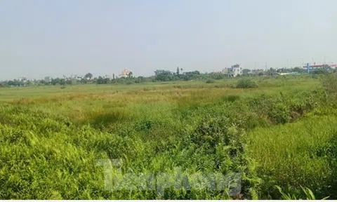 Bắt tạm giam 2 cán bộ ngân hàng liên quan đến đấu giá đất