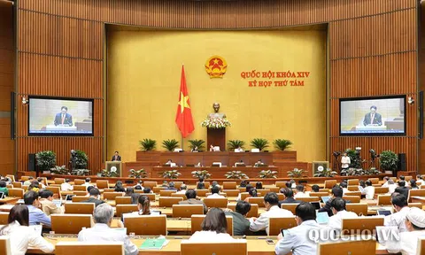 Quốc hội nghe báo cáo và thảo luận tại tổ 3 dự án Luật