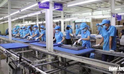 Asanzo trốn thuế như thế nào?