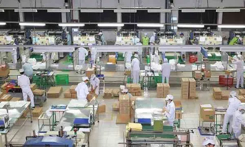 Cổ đông khởi kiện Giám đốc, Tòa án căn cứ quy định pháp luật nào để thụ lý, giải quyết?
