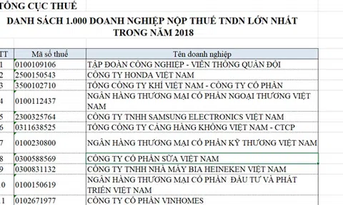 1000 DN nộp thuế lớn nhất 2018: Chủ yếu là DN ngoài quốc doanh