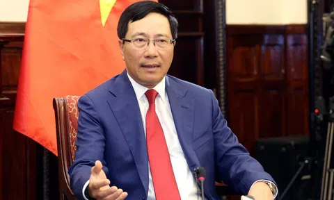 Phó Thủ tướng Phạm Bình Minh: Liên quan vụ 39 người chết, thông tin đối chiếu gồm cả sinh trắc học và ADN
