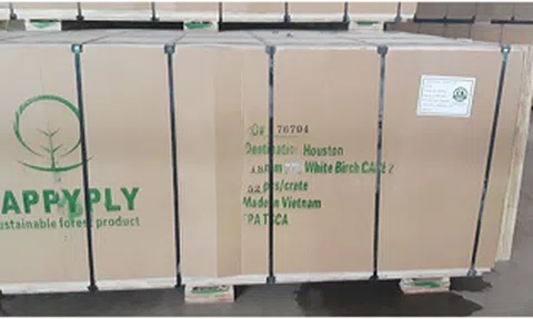 Bộ Công Thương lo ngại hàng hóa Trung Quốc 'mượn' Việt Nam để lẩn tránh xuất xứ