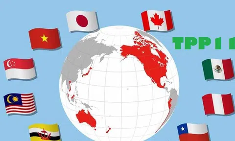 Thực thi điều ước của các FTA: Những vấn đề pháp lý Việt Nam cần quan tâm giải quyết (Bài 3): Kiến nghị hoàn thiện khung pháp lý về doanh nghiệp Nhà nước để thực thi hiệu quả cam kết của CPTPP