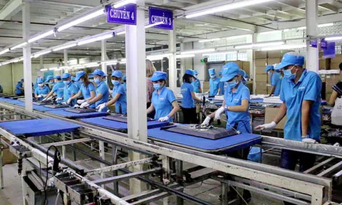 Vụ Asanzo có dấu hiệu trốn nhiều loại thuế: Luật sư "bóc tách" thủ đoạn lách luật của Doanh nghiệp và kiến nghị giải pháp