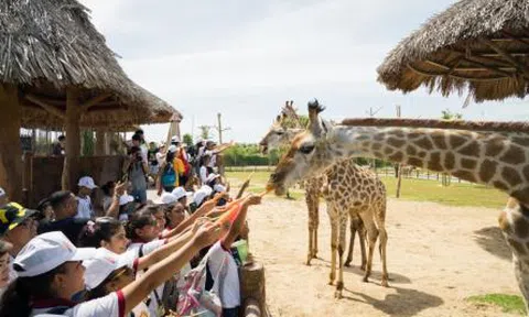 Người dân miền Trung, Tây Nam Bộ tận hưởng ưu đãi chưa từng có từ Vinpearl Land & Safari