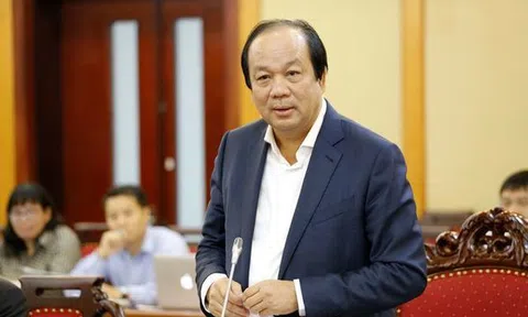 DN nước ngoài giả mạo xuất xứ Việt Nam xuất sang Mỹ, EU tăng đột biến