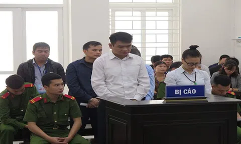 Hàng loạt Giám đốc doanh nghiệp vào tù vì lừa đảo ngân hàng