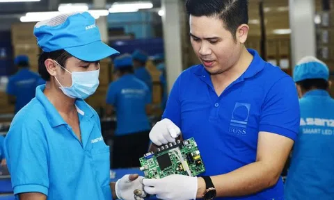 Công ty sở hữu lô nhôm 4,3 tỷ USD giả hàng Việt do người TQ đầu tư