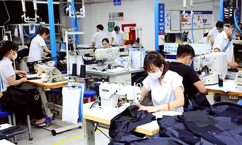Chống gian lận xuất xứ hàng hóa: Xử lý nghiêm, không ngoại lệ