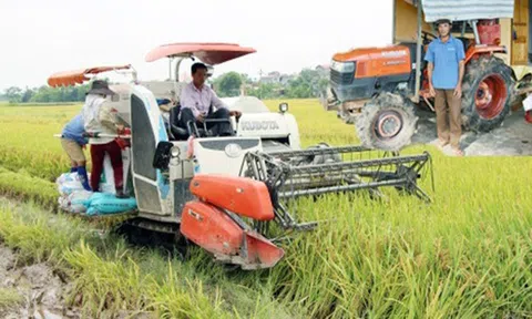 Kinh tế hợp tác, hợp tác xã: Nhiều chính sách hỗ trợ chưa đi vào cuộc sống