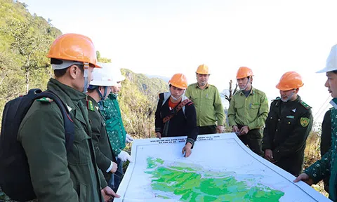 Diễn tập phòng cháy chữa cháy rừng cấp độ 2 tại Vườn quốc gia Hoàng Liên