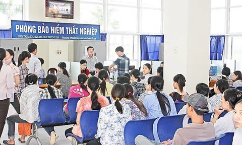 Điều kiện, hồ sơ và mức hưởng trợ cấp thất nghiệp và lương hưu theo quy định pháp luật