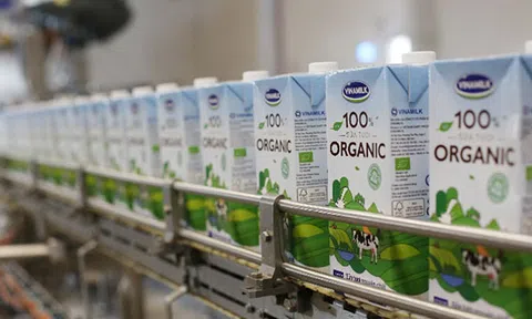 Sữa tươi Organic của Vinamilk "bắt sóng" người tiêu dùng Singapore