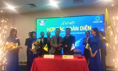 Hợp tác toàn diện giữa Safer Life và Cathay Life
