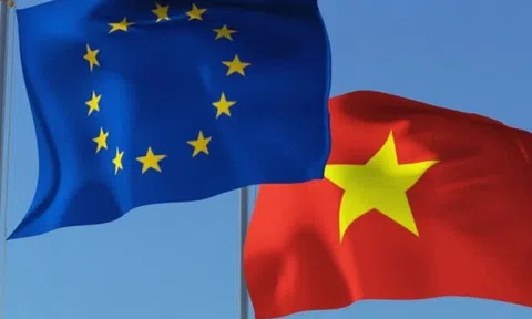 Các nội dung chính vừa được Nghị viện châu Âu thông qua của EVFTA