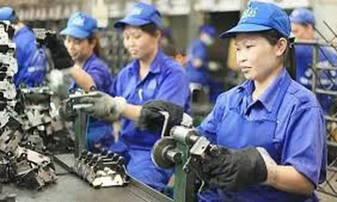 Hàng loạt quy định, chính sách kinh tế có hiệu lực từ 1/1/2020