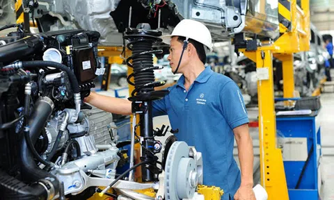 Thủ tướng yêu cầu các tập đoàn lớn đầu tư cho công nghệ số