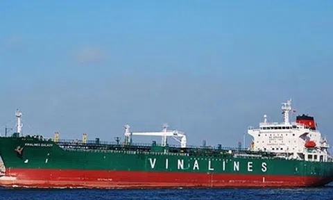 Báo cáo giám sát DNNN: 12 trường hợp lỗ 720 tỷ đồng, 16 trường hợp cảnh báo về an toàn tài chính