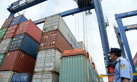 Lợi dụng xuất xứ Việt Nam để trốn thuế, cần chế tài hình sự để xử lý?