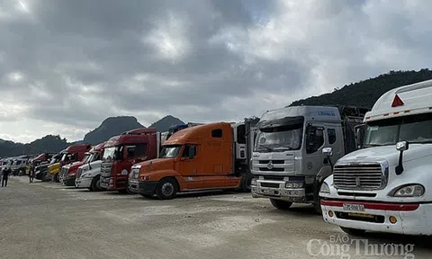 Bộ Công Thương phối hợp hỗ trợ doanh nghiệp gặp khó do dịch bệnh