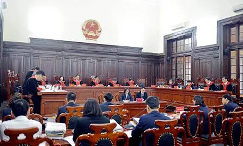 Công bố 8 án lệ mới