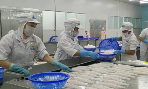 Bộ trưởng: 'EVFTA sẽ rất tiêu cực với doanh nghiệp yếu kém'