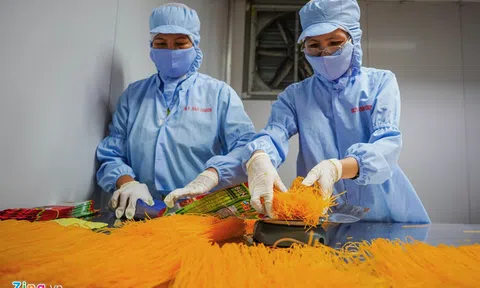 Tổng điều tra kinh tế vào năm 2021