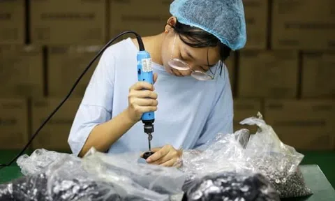 Kinh tế toàn cầu hướng đến năm tồi tệ nhất kể từ khủng hoảng tài chính