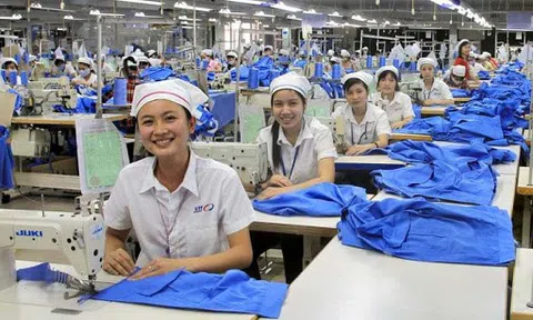 Lộ trình xóa bỏ thuế nhập khẩu vào EU sau khi EVFTA có hiệu lực