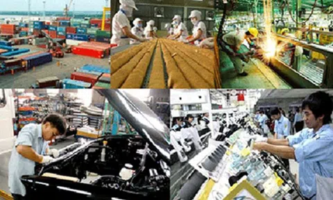 Tiếp tục cải thiện môi trường kinh doanh, tạo môi trường công khai, minh bạch