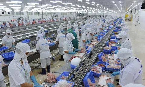 Giãn, hoãn thuế cho doanh nghiệp khắc phục khó khăn, thiệt hại do dịch bệnh