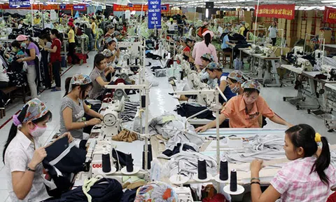 Chuyên gia chỉ cách chinh phục thị trường EU