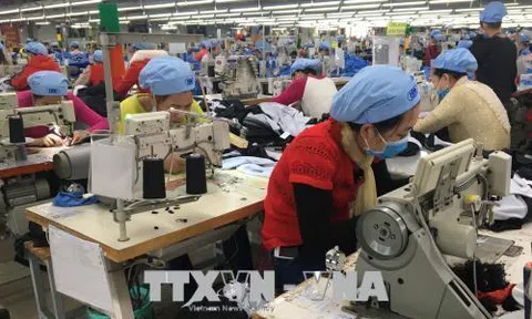 EVFTA: Cơ hội mở cửa thị trường mới đầy khó khăn nhưng sẽ minh bạch