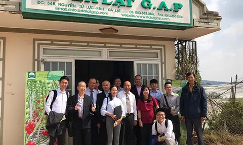 Xuất khẩu sang Singapore: Linh hoạt trước chính sách mới