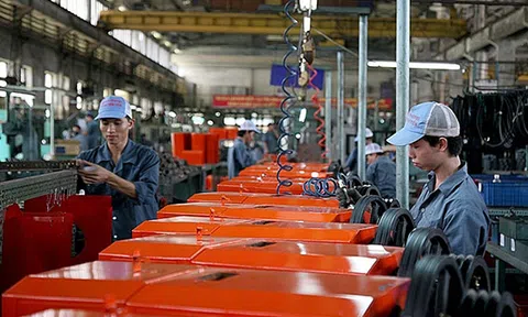 Hướng tới tập đoàn kinh tế nhà nước đa sở hữu
