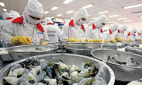 EU đóng cửa biên giới: Lưu thông hàng hóa Việt Nam – EU vẫn tiếp tục duy trì
