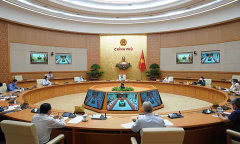 Thủ tướng: Phát hiện thao túng, trục lợi đối với giá thịt lợn phải xử lý theo pháp luật