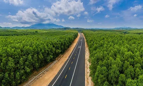 Chuyển toàn bộ 8 dự án PPP cao tốc Bắc - Nam sang đầu tư công, khởi công muộn nhất vào tháng 8/2020