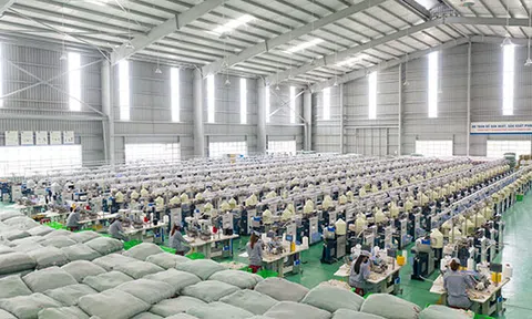THACO xuất khẩu hơn 1.8 triệu đôi găng tay trong quý I/2020