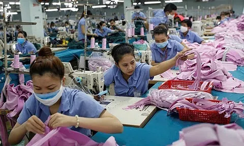 EU hoàn tất phê chuẩn EVFTA