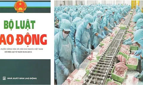 Phòng, chống dịch Covid 19:  Những kinh nghiệm pháp lý doanh nghiệp cần lưu ý để được giảm trừ trách nhiệm bất lợi