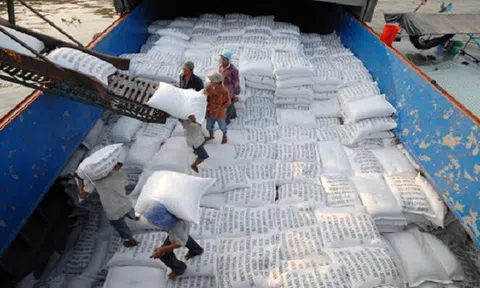 Bộ Tài chính đề nghị Bộ Công an điều tra, xác minh tiêu cực trong hoạt động xuất khẩu gạo