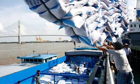 Xem dịch Covid-19 là sự kiện bất khả kháng để được miễn trách nhiệm do vi phạm hợp đồng