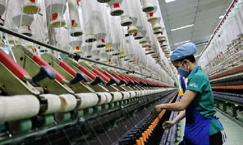 Gói hỗ trợ 250.000 tỷ đồng: Doanh nghiệp xin giãn nợ sẽ bị đưa vào nợ xấu?