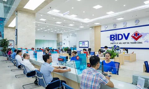 8 "con nợ" khó đòi của ngân hàng BIDV được chuyển cho Thanh tra của NHNN giám sát