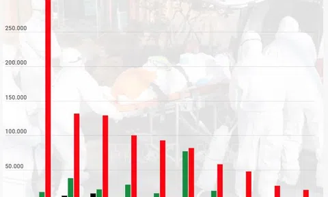 Đức kêu gọi EU sớm triển khai gói cứu trợ các nền kinh tế bị ảnh hưởng