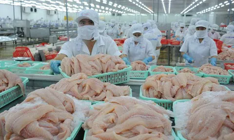 Hoa Kỳ giảm thuế cho doanh nghiệp xuất khẩu cá tra của Việt Nam