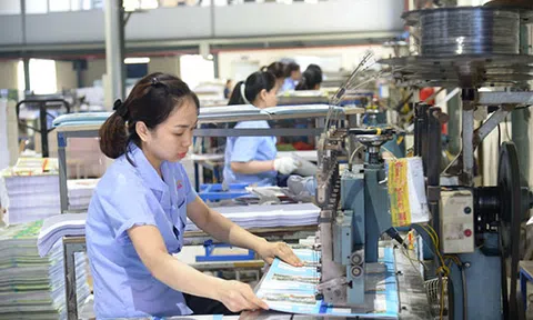 Sửa nghị định 20: Hồi tố thuế có thật sự 'nguy hiểm' theo như Bộ Tài chính?