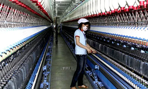Loay hoay chính sách lao động cứu doanh nghiệp